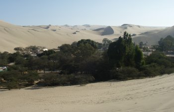 Oasis au sud de Pisco