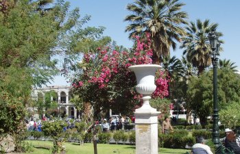 Plaza de Armas