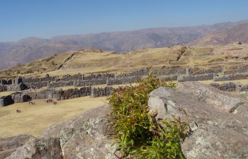 Temple-citadelle de Sacsayhuaman