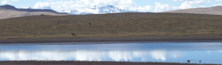 Andes