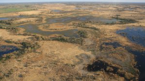 Delta de l'Okavango
