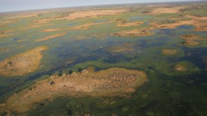 Delta de l'Okavango
