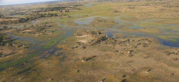 Delta de l'Okavango