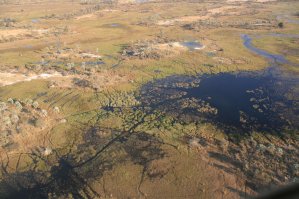 Delta de l'Okavango