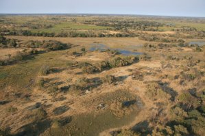 Delta de l'Okavango