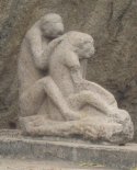 Singes s'&eacute;pouillant