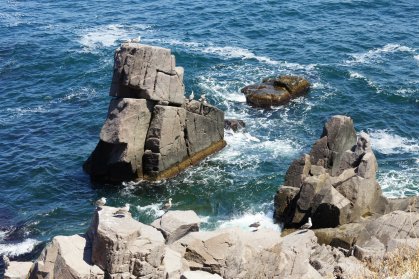 Mer Noire au pied de Sozopol