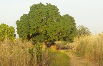 Boulsin, Burkina Faso