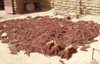 Boulsin, Burkina Faso