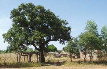 Villages du Burkina