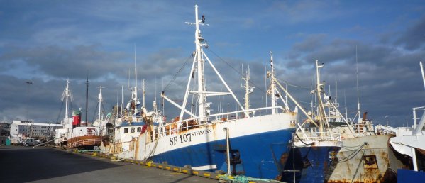 port de Reykjav&iacute;k