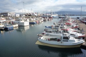 port de Reykjav&iacute;k