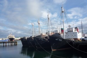 port de Reykjav&iacute;k