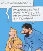 Tintin au Sahara