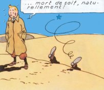 Tintin au Sahara