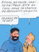 Tintin au Sahara
