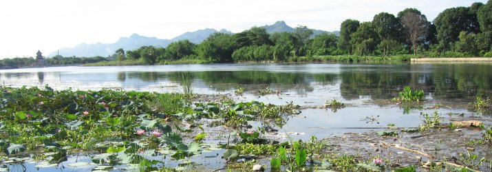 La rivi&egrave;re Kwai