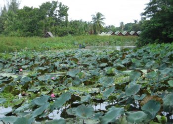 La rivi&egrave;re Kwai