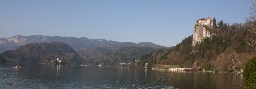 Bled