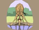 Girafe