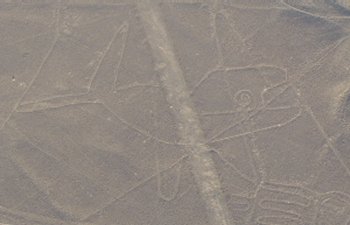 La baleine (Nazca)