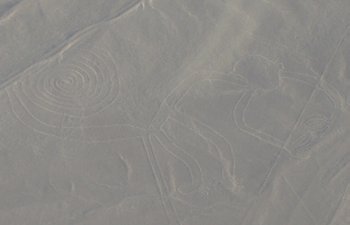 Le singe (Nazca)