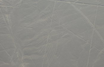 Le colibri (Nazca)