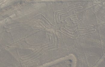 L'araign�e (Nazca)