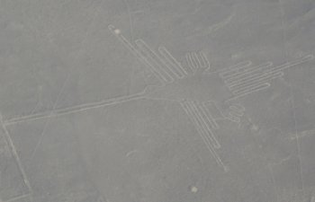Le condor (Nazca)