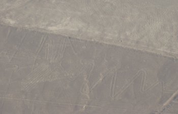 Le h�ron (Nazca)