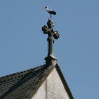 Cigogne de Vyšší Brod