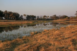 Okavango