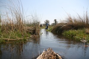 Mokoro de l'Okavango