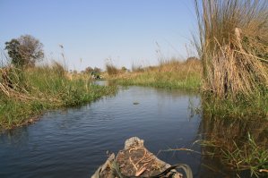 Mokoro de l'Okavango