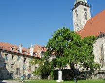 Cath�drale Saint Martin