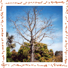 Paysages de Casamance