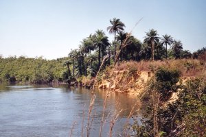 Rivi&egrave;re de Casamance