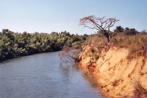 Rivi&egrave;re du S&eacute;n&eacute;gal