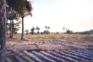Casamance, S&eacute;n&eacute;gal