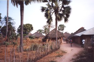 Village de Casamance, S&eacute;n&eacute;gal