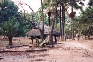 Village de Casamance, S&eacute;n&eacute;gal