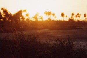 Coucher de soleil en Casamance