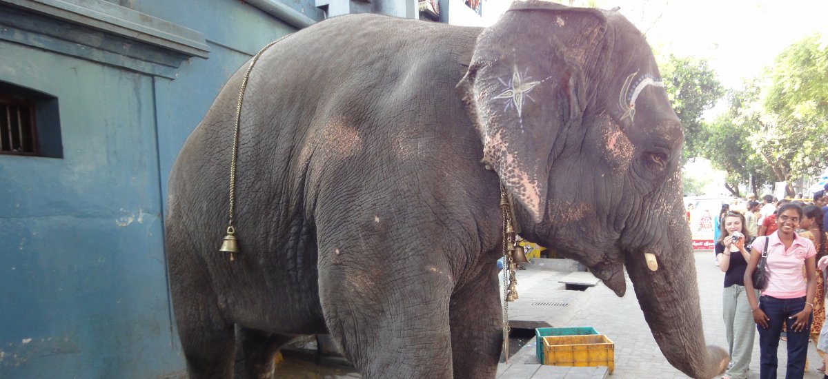 Bénédiction de Lakshmi