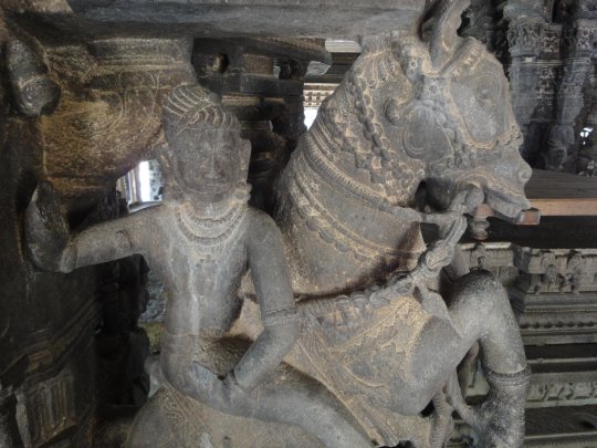 Temple Varadharaja Perumal à Kanchipuram