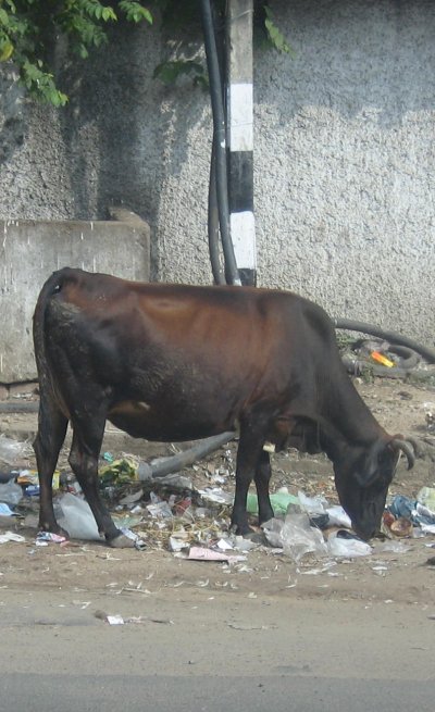 Rues de Chennai (Madras)