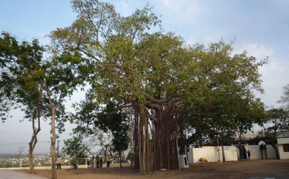 Mont Saint-Thomas, Madras