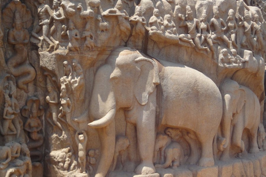 Pénitence d'Arjuna, Descente du Gange, Mahabalipuram
