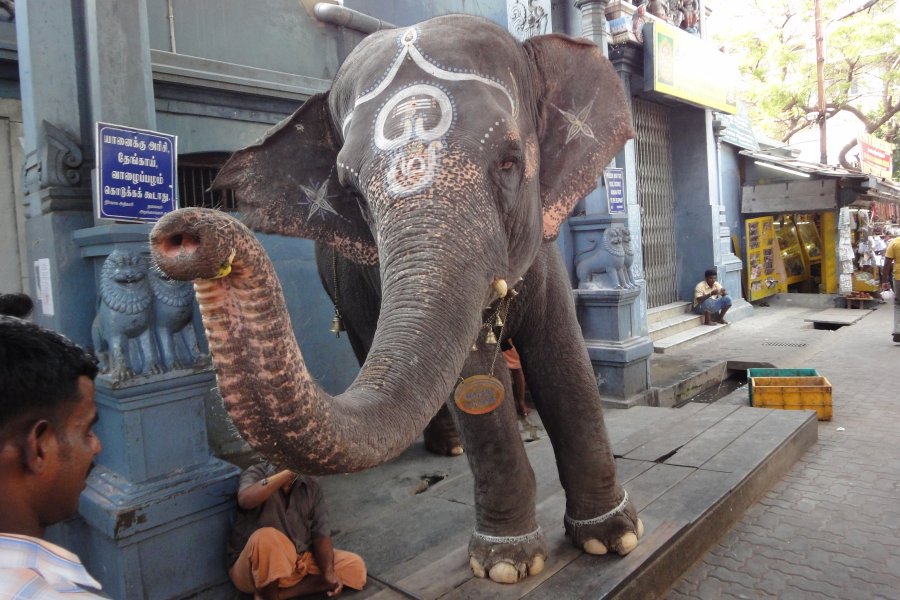 Temple de Ganesh, Pondichéry