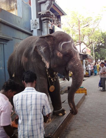 Temple de Ganesh, Pondichéry