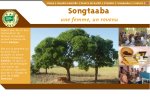 Songtaaba